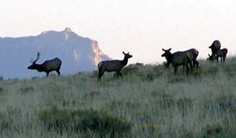 Takota Lane lot Bvr 930-25, Belfry, MT 59008