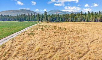 2228 BLUE CREEK Rd, Addy, WA 99101