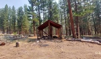 40 Acres Off 36N06, Adin, CA 96006
