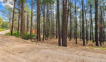 432 Blue Ridge Dr, Bayfield, CO 81122
