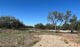 Lot 4 Fandangle Dr, Albany, TX 76430