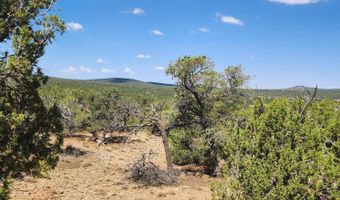 15 Co Rd 3041, Concho, AZ 85924