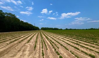 0 Rocky Creek Rd, Ashford, AL 36312