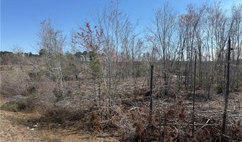 0 35.01 Acres Bacon School Rd, Alma, GA 31510