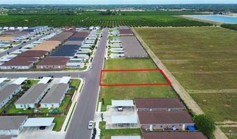 900 Sunset Valley St, Alton, TX 78573