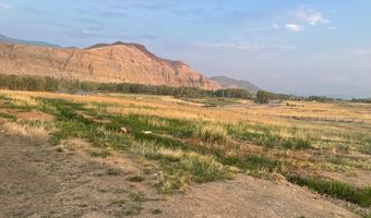 1111 Buckskin Run, Challis, ID 83226