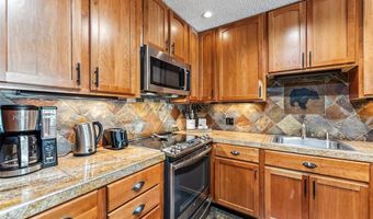 550 S FRENCH St 205, Breckenridge, CO 80424