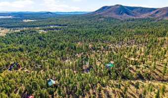 12 W Pergatory Dr, Alpine, AZ 85920