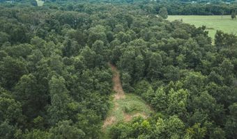 1569 Spider K Rd, Anderson, MO 64831