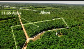 503 County Road 101, Alton, MO 65606