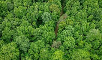 0 US-412 Hwy W, Beech Bluff, TN 38313
