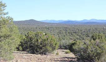 6 County Road 8052, Concho, AZ 85924