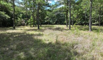 Highway 112, Abbeville, GA 31001