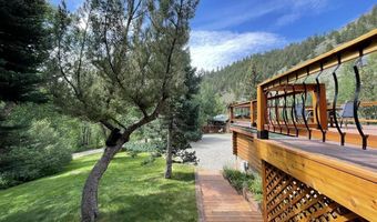209 Deer Path Ln, Almont, CO 81230