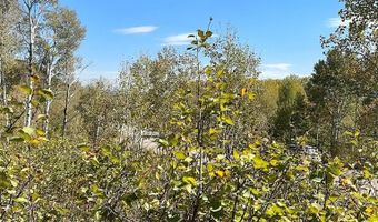 4051 Golden Stone Ln, Ashton, ID 83420
