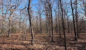 Tract 4 Rural Atoka, Atoka, OK 74525