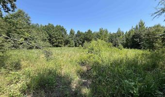 179 Little River 67 Rd, Ashdown, AR 71822