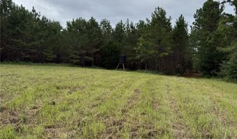 154 County Road 38 Acres, Banks, AL 36005
