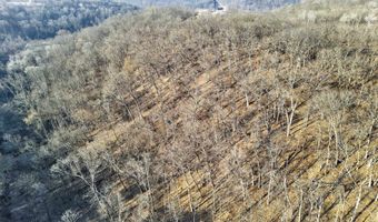 271 18 Acres Zwettler/Foster Rd, Arena, WI 53503