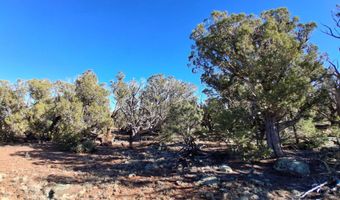 0203 County Rd, Concho, AZ 85924