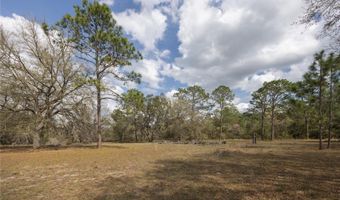 3670 NW 20TH Ave, Bell, FL 32619