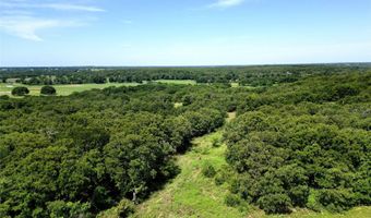 CR 1593, Alvord, TX 76225
