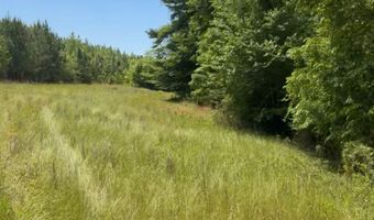 County Road 231, Abbeville, AL 36310