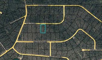 Odum Street lot 29, Alford, FL 32420