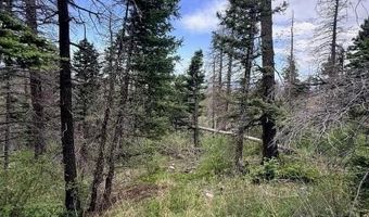 Spanish Peaks Dr, Aguilar, CO 81020