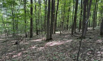 Green Road, Alfred, NY 14802