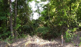 263 LR 182, Ashdown, AR 71822