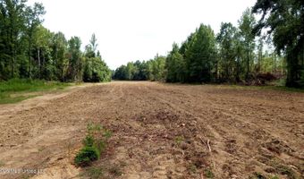 590 County Road 247, Bruce, MS 38915