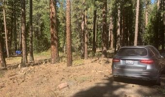 Lot 84 Edgewater Way, Adin, CA 96006