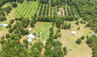 6308 NW 160TH St, Alachua, FL 32615