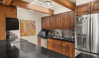 124 W Hyman Ave 3B, Aspen, CO 81611