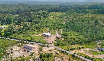 135 Sawmill Rd, Braxton, MS 39044