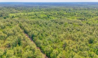 93 Acres Dell Rd, Bainbridge, GA 39819
