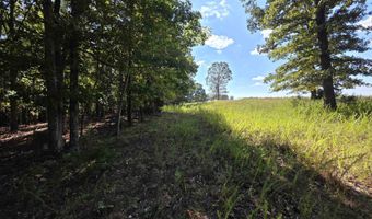 3013-3015 Possum Trot Rd, Ash Flat, AR 72513