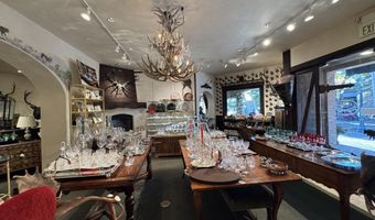 419 E Cooper Ave, Aspen, CO 81611