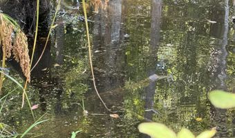 816 B Denton Trl Lot 0, Brookhaven, MS 39601