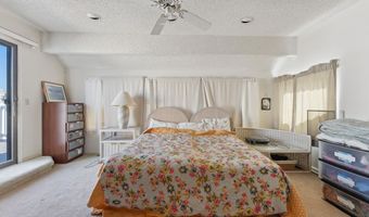 138 8th, Avalon, NJ 08202