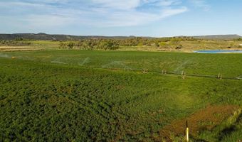 777 County Road 977, Arboles, CO 81147