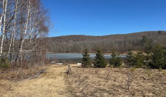 L22.2 Alder Pond Road, Andes, NY 13740
