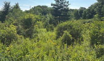 1868 Hess Rd, Andover, NY 14806