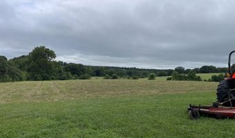 1107 Lower Ford Rd, Ava, MO 65608