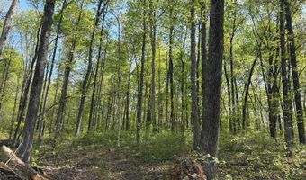 7900 Mineral Koleen Rd, Bloomfield, IN 47424