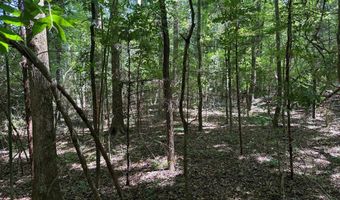 Old Greenwood Highway, Abbeville, SC 29620