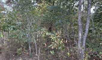 Hc 73 Box 4925 Track 20, Ava, MO 65608