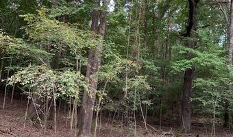 Lot # 1 Market St, Water Valley, MS 38965