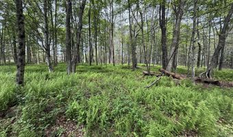 Dorshimer Ave, Blakeslee, PA 18610